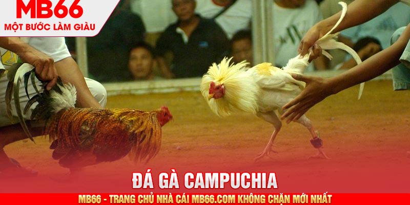 Đá Gà Campuchia MB66 - Hình Thức Giải Trí Thú Vị, Đặc Sắc - mb66club.com Link Nhà Cái Mb66.COM Chính Thức An Toàn - qaro.one