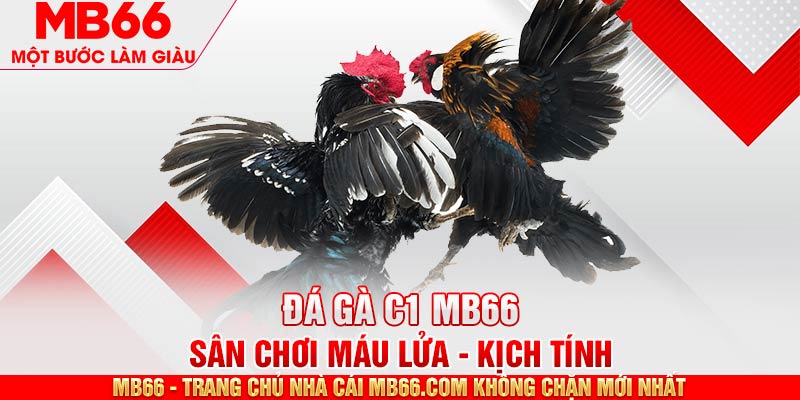 Đá Gà C1 - Sự Kiện Được Mong Chờ Nhất Trong Năm 2026 - mb66club.com Link Nhà Cái Mb66.COM Chính Thức An Toàn - qaro.one