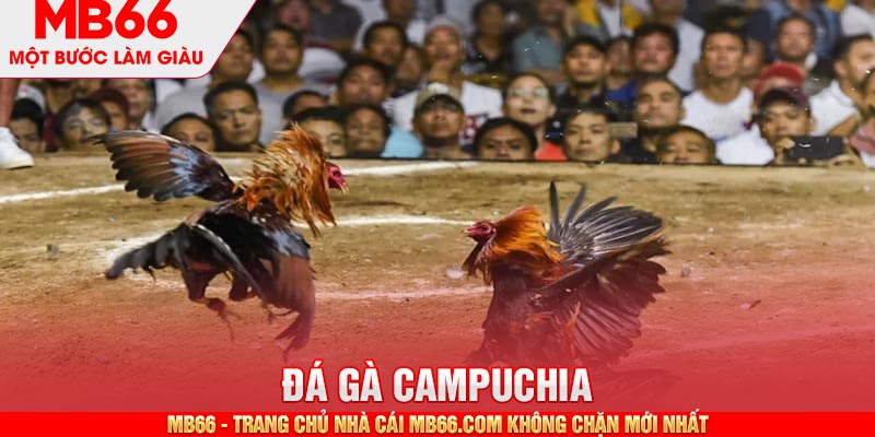 Đá Gà Campuchia MB66 - Hình Thức Giải Trí Thú Vị, Đặc Sắc - mb66club.com Link Nhà Cái Mb66.COM Chính Thức An Toàn - qaro.one