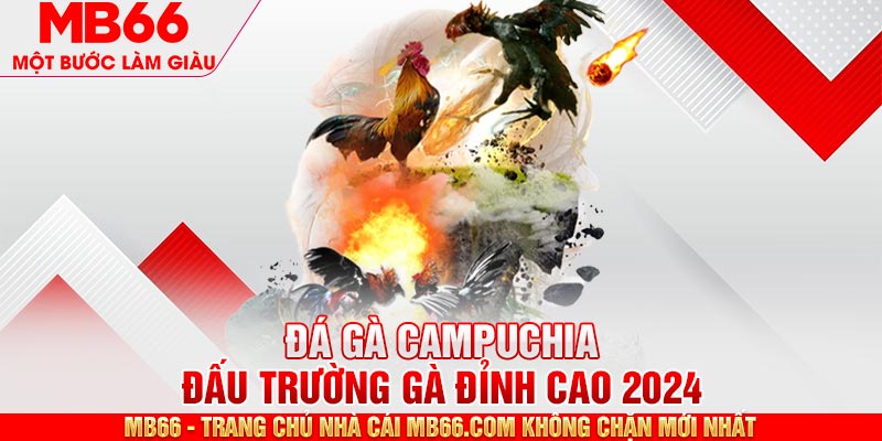 Đá Gà Campuchia MB66 - Hình Thức Giải Trí Thú Vị, Đặc Sắc - mb66club.com Link Nhà Cái Mb66.COM Chính Thức An Toàn - qaro.one