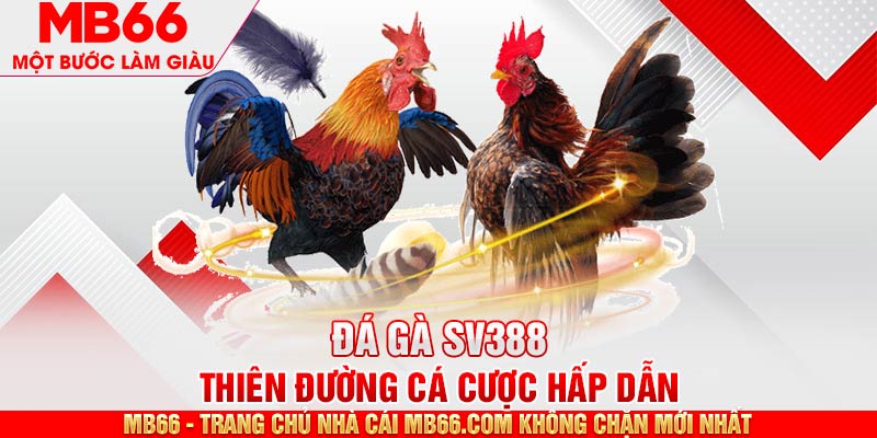 Đá Gà SV388 - Thiên Đường Cá Cược Online Chuẩn Quốc Tế - mb66club.com Link Nhà Cái Mb66.COM Chính Thức An Toàn - qaro.one