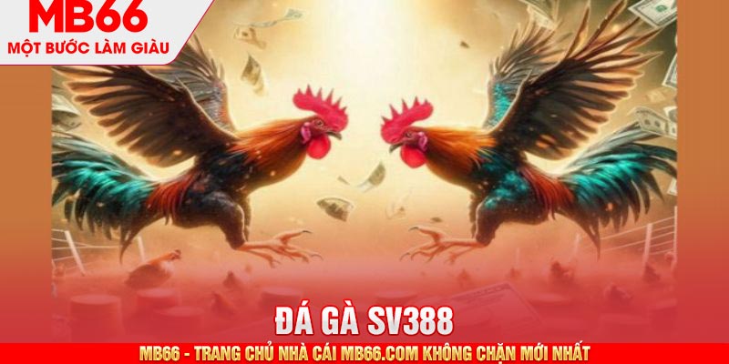 Đá Gà SV388 - Thiên Đường Cá Cược Online Chuẩn Quốc Tế - mb66club.com Link Nhà Cái Mb66.COM Chính Thức An Toàn - qaro.one