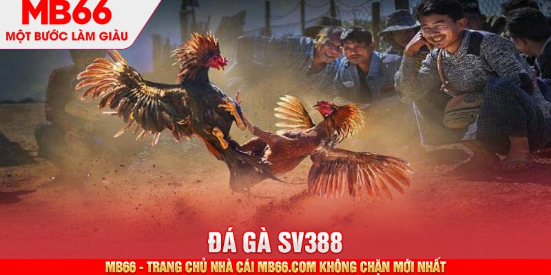 Đá Gà SV388 - Thiên Đường Cá Cược Online Chuẩn Quốc Tế - mb66club.com Link Nhà Cái Mb66.COM Chính Thức An Toàn - qaro.one