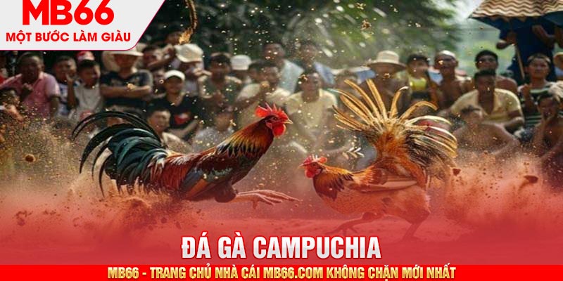 Đá Gà Campuchia MB66 - Hình Thức Giải Trí Thú Vị, Đặc Sắc - mb66club.com Link Nhà Cái Mb66.COM Chính Thức An Toàn - qaro.one
