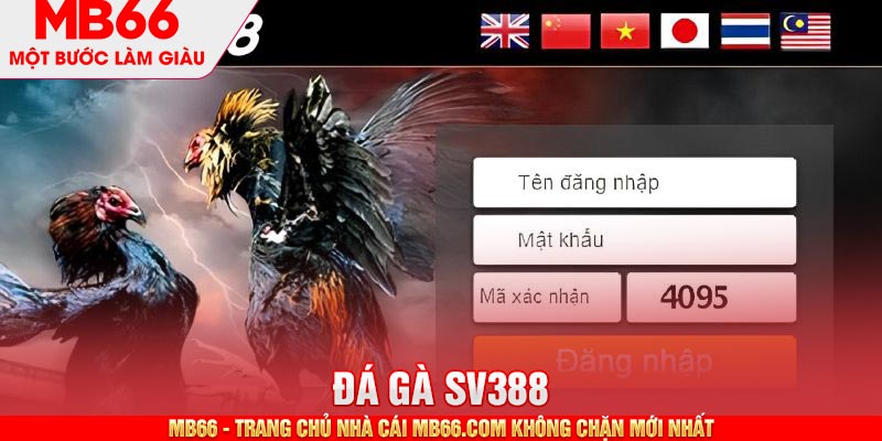 Đá Gà SV388 - Thiên Đường Cá Cược Online Chuẩn Quốc Tế - mb66club.com Link Nhà Cái Mb66.COM Chính Thức An Toàn - qaro.one