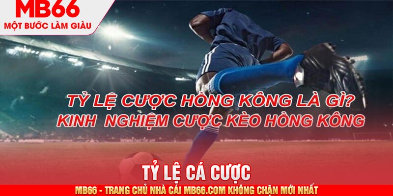 Tỷ Lệ Cá Cược MB66 - Những Thông Số Quan Trọng Cần Lưu Ý - mb66club.com Link Nhà Cái Mb66.COM Chính Thức An Toàn - qaro.one