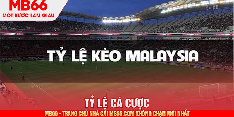 Tỷ Lệ Cá Cược MB66 - Những Thông Số Quan Trọng Cần Lưu Ý - mb66club.com Link Nhà Cái Mb66.COM Chính Thức An Toàn - qaro.one