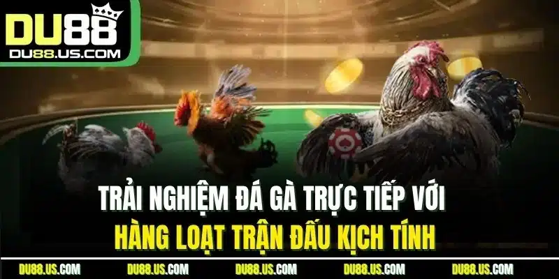 Giới Thiệu DU88 | Thông Tin Web Cá Cược Uy Tín 2026 - qaro.one