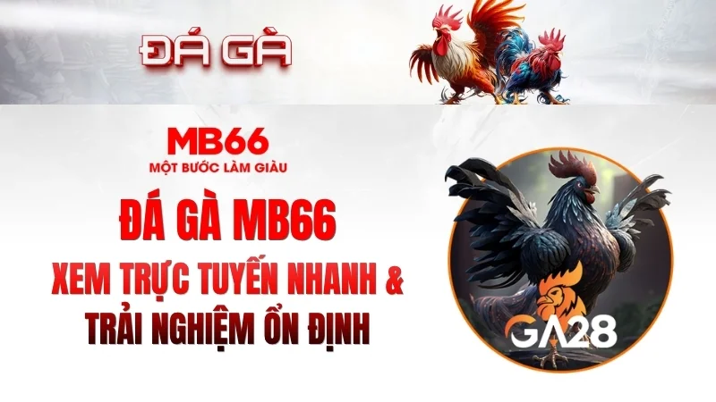 Đá Gà MB66 – Xem Trực Tuyến Nhanh, Ổn Định 2026 - qaro.one