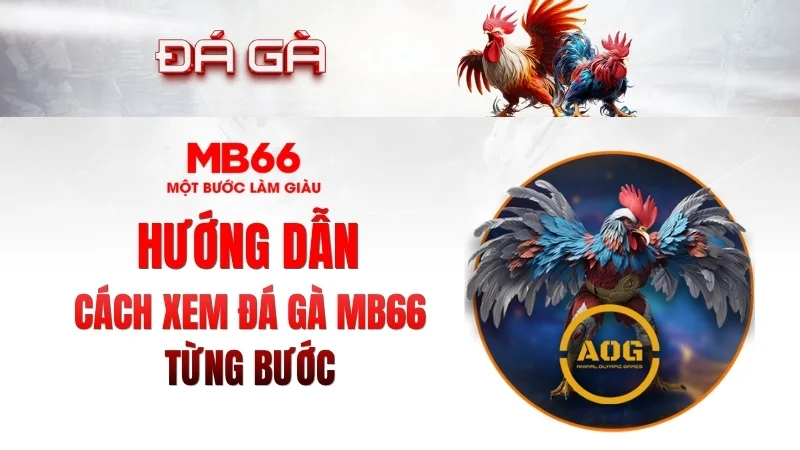 Đá Gà MB66 – Xem Trực Tuyến Nhanh, Ổn Định 2026 - qaro.one