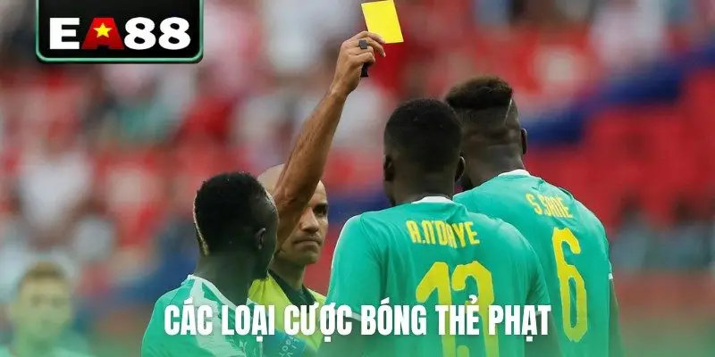 Kèo Thẻ Phạt Là Gì? Mẹo Dự Đoán Cực Chuẩn Từ Chuyên Gia - qaro.one
