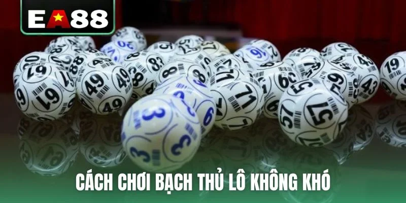 Bật Mí Cách Chơi Bạch Thủ Lô Bách Phát Bách Trúng Ít Ai Biết - qaro.one