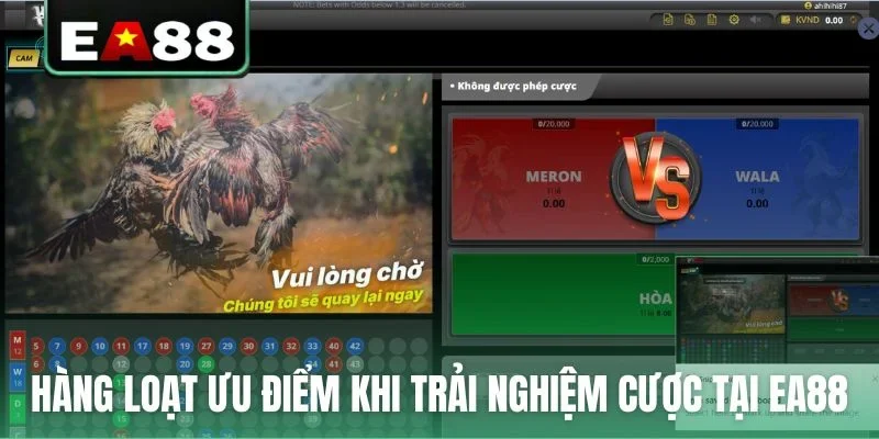 Đá gà EA88 - Sảnh Cược Trực Tiếp Đỉnh Cao Dành Cho Kê Thủ - qaro.one