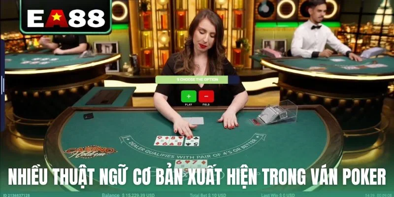 Cách Chơi Poker Chuẩn Quốc Tế Dành Cho Tân Thủ Dễ Hiểu - qaro.one