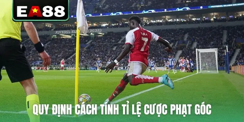 Kèo Phạt Góc Đọc Thế Nào Và Quy Định Về Thời Gian Hợp Lệ - qaro.one