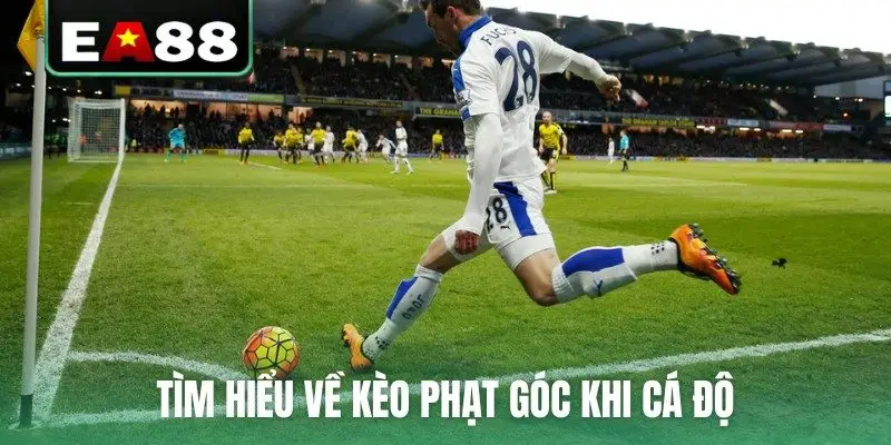 Kèo Phạt Góc Đọc Thế Nào Và Quy Định Về Thời Gian Hợp Lệ - qaro.one