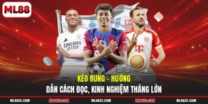 ML88 rehore ⭐️ Link ML88.COM Chính Chủ | Trang Đăng Ký Mới Nhất +88K - qaro.one