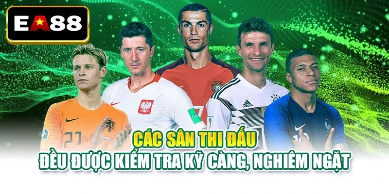 Địa Điểm Tổ Chức World Cup 2026 - Các Sân Vận Động Nổi Bật - qaro.one